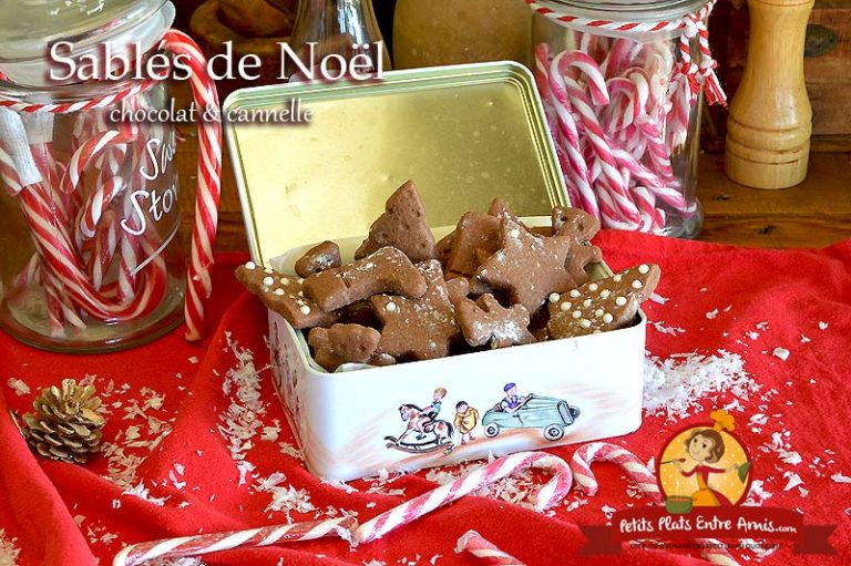 Sabl S De No L Chocolat Cannelle Petits Plats Entre Amis