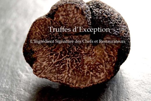 Truffes d’Exception L’Ingrédient Signature des Chefs et Restaurateurs